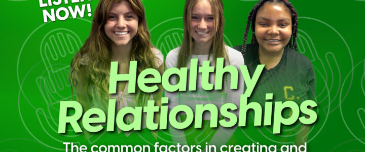Healthy Relationships: The Common Factors